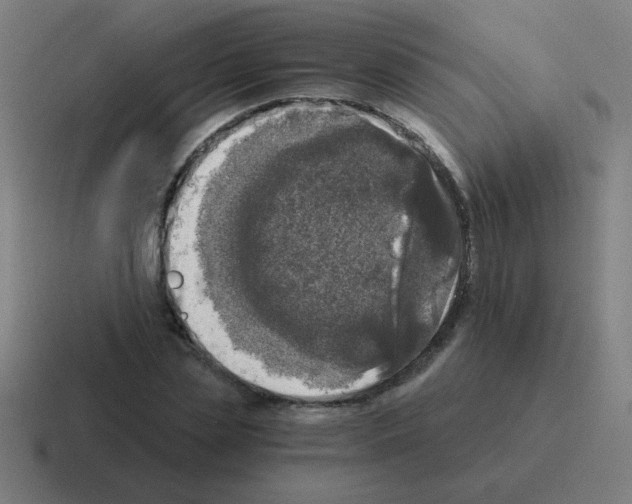 X0000116020829200912312151