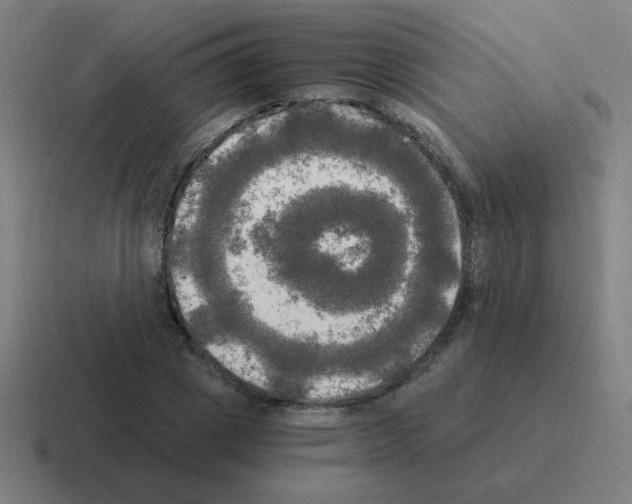 X0000116020833200912312151