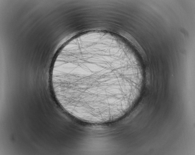 X0000116020834200912312151