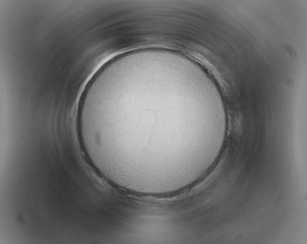 X0000116020836200912312151