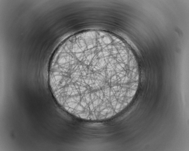 X0000116020837200912312151