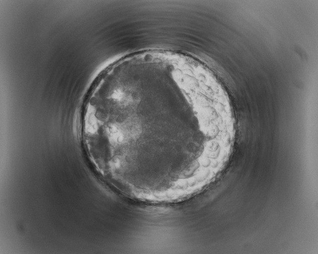 X0000116020838200912312151