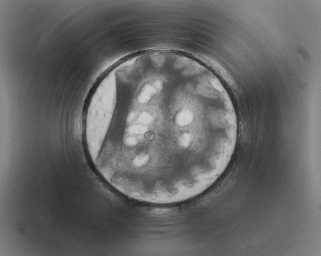 X0000116020839200912312151