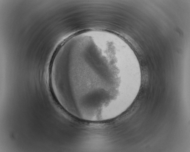 X0000116020840200912312151