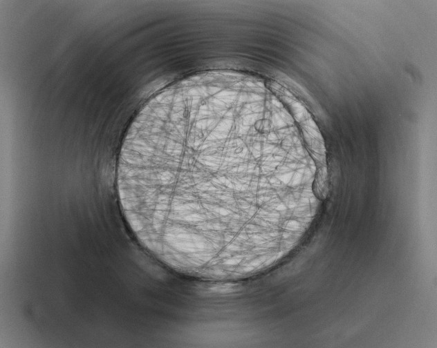 X0000116020841200912312151