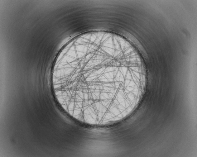 X0000116020842200912312151