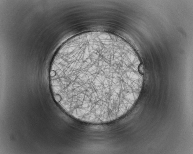 X0000116020843200912312151