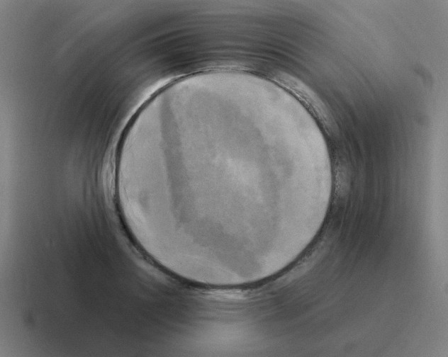 X0000116020844200912312151