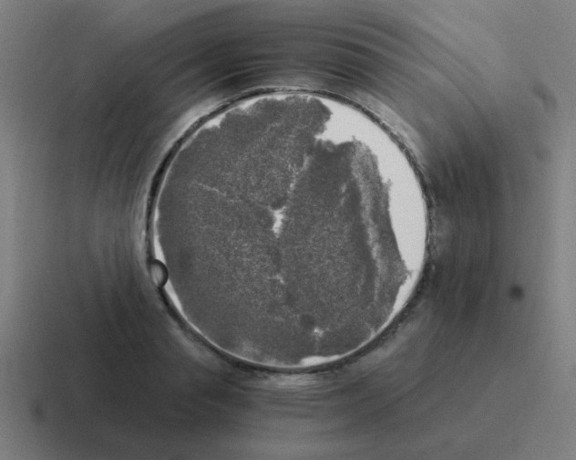 X0000116020845200912312151