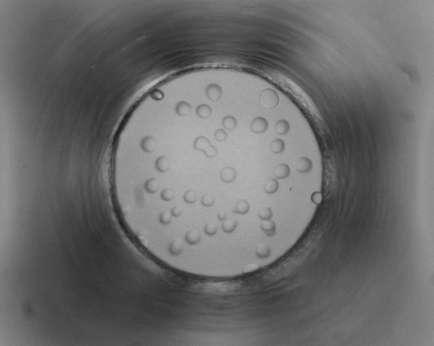 X0000116020847200912312151