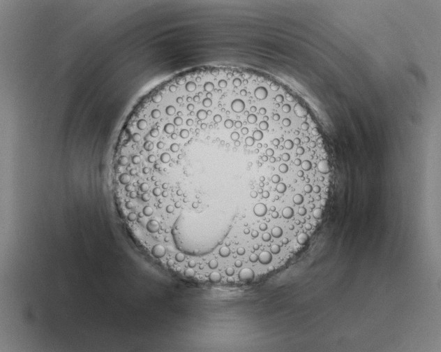 X0000116020848200912312151