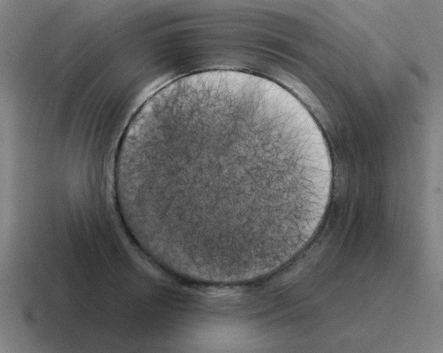 X0000116020850200912312151