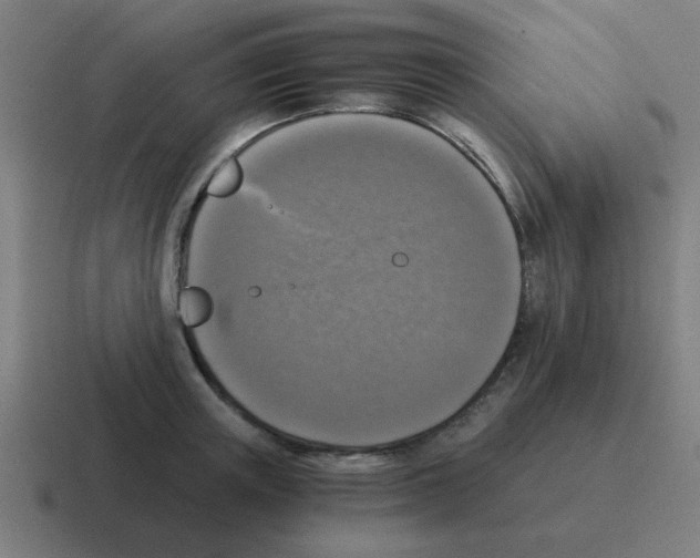 X0000116020851200912312151