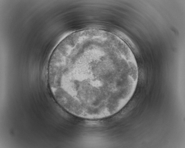 X0000116020852200912312151