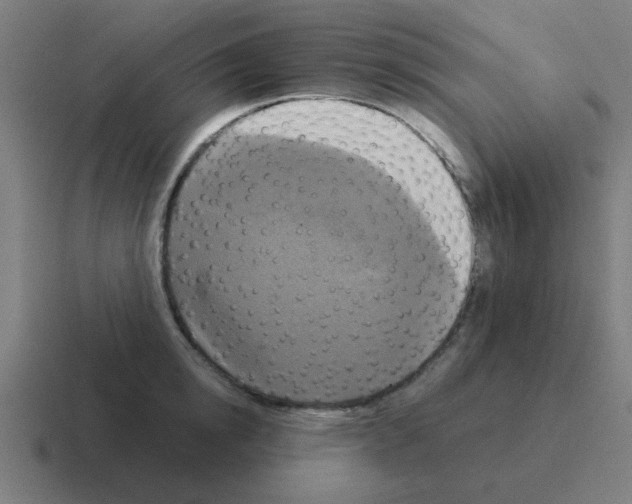 X0000116020854200912312151