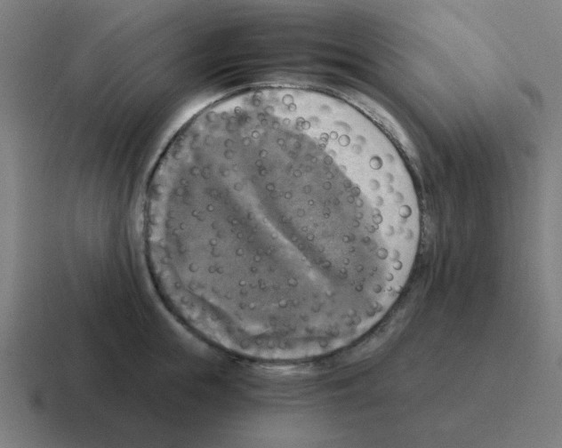 X0000116020855200912312151