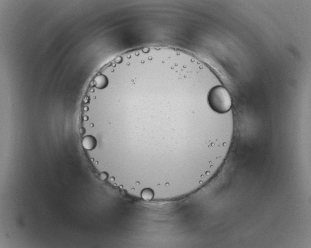 X0000116020856200912312151