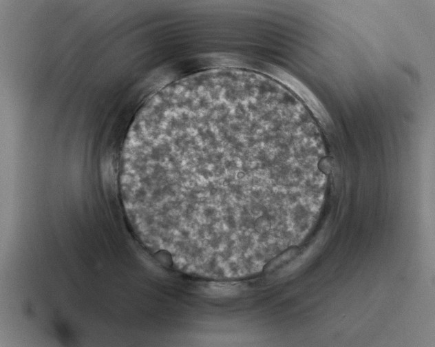 X0000116020857200912312151