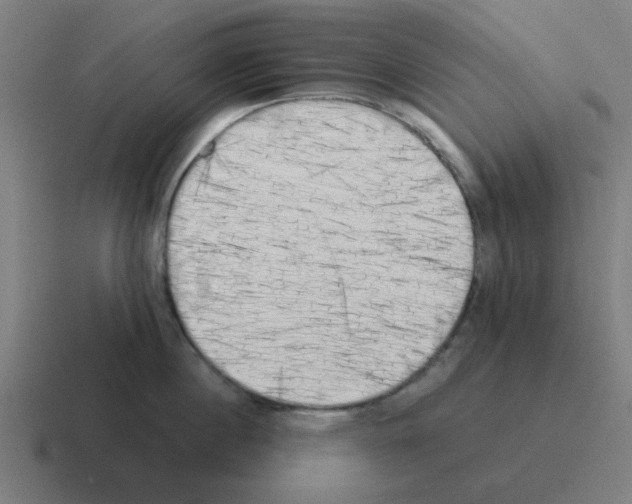 X0000116020860200912312151