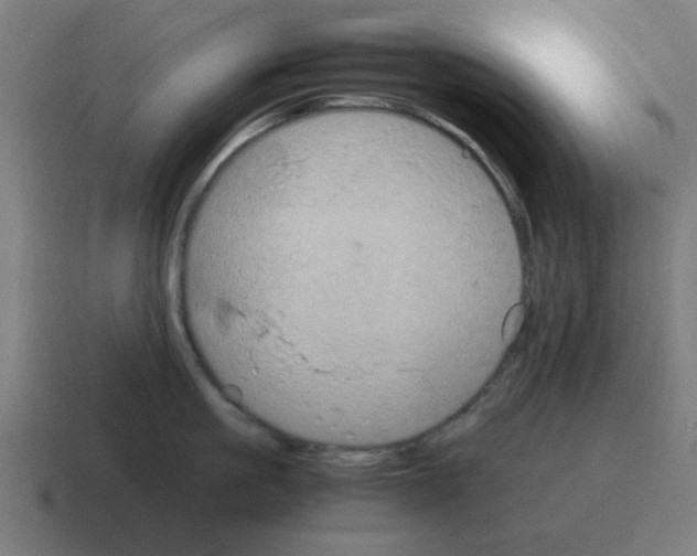 X0000116020861200912312151