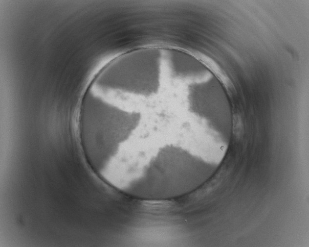 X0000116020863200912312151