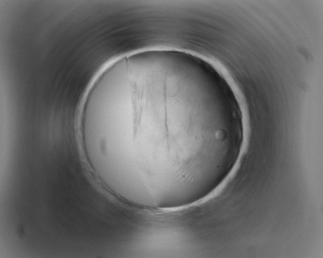 X0000116020864200912312151