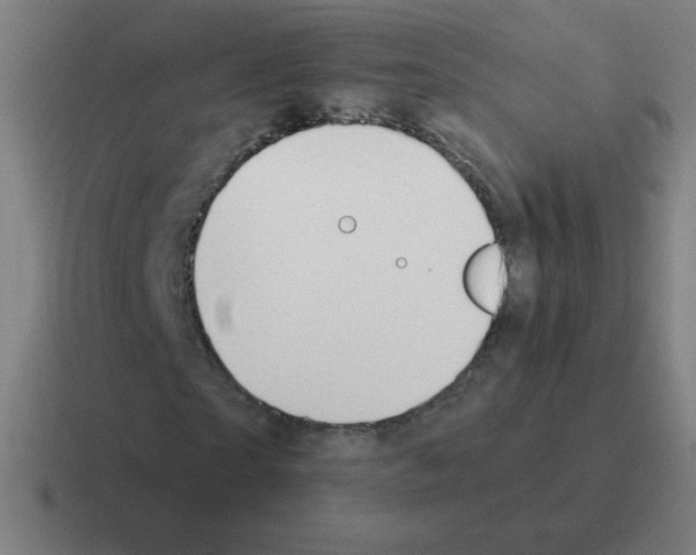 X0000116020865200912312151