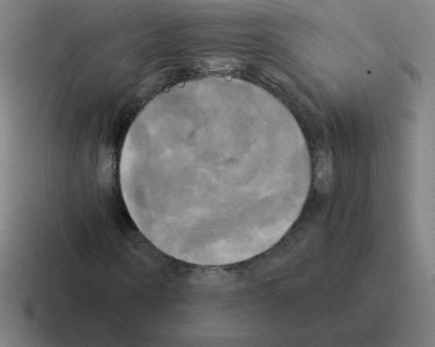 X0000116020866200912312151