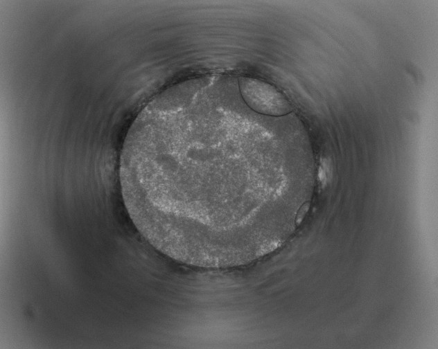 X0000116020867200912312151