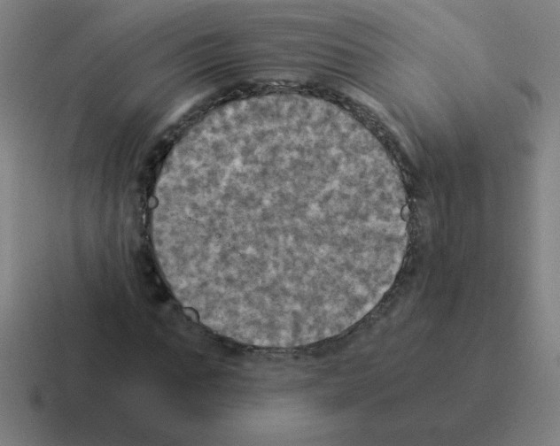 X0000116020871200912312151