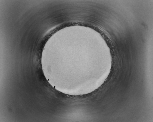 X0000116020872200912312151