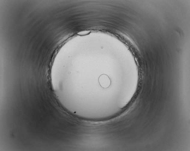 X0000116020873200912312151