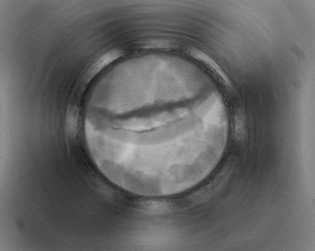 X0000116020874200912312151