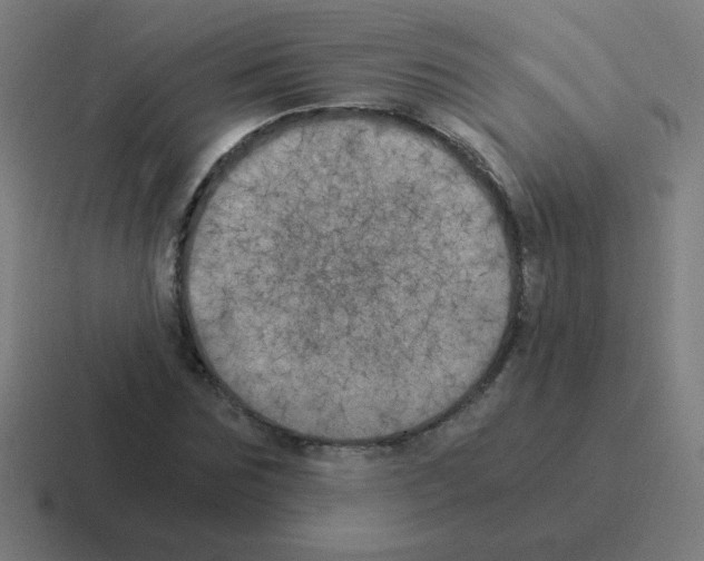 X0000116020875200912312151