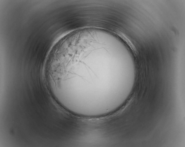 X0000116020876200912312151