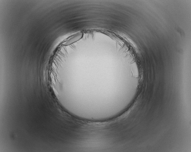 X0000116020877200912312151