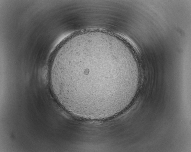 X0000116020878200912312151