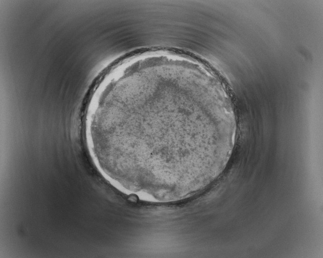 X0000116020879200912312151