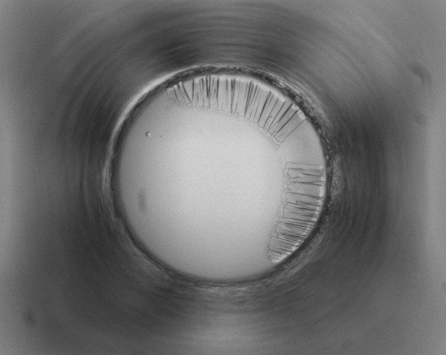 X0000116020880200912312151