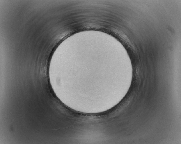 X0000116020881200912312151