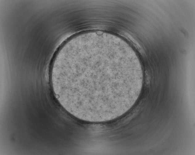 X0000116020883200912312151