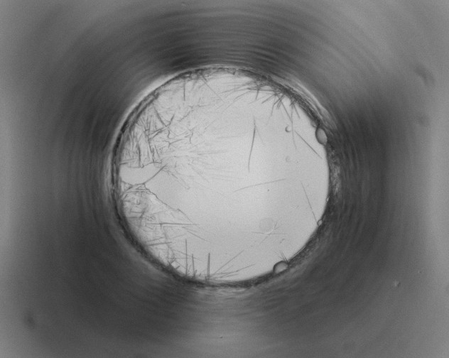 X0000116020884200912312151