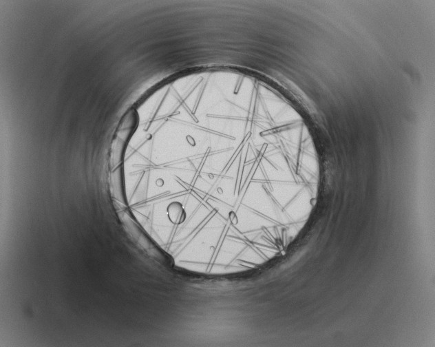 X0000116020885200912312151