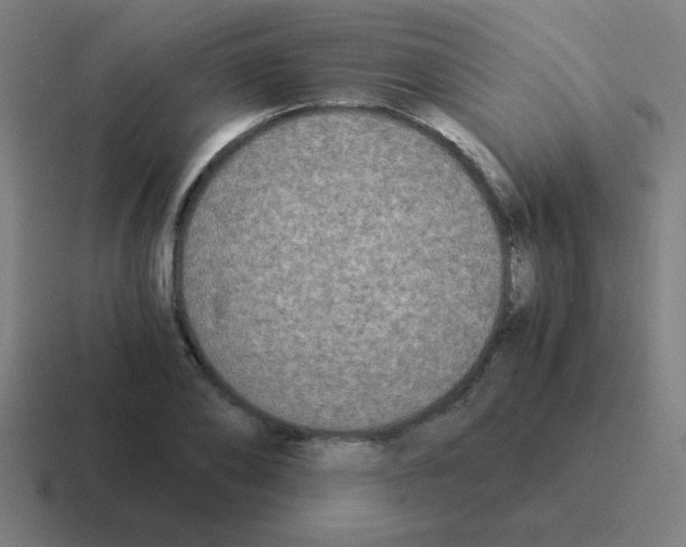 X0000116020886200912312151