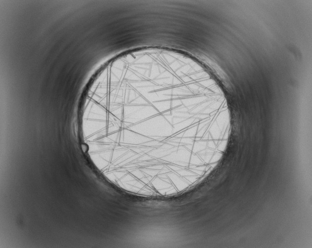 X0000116020888200912312151