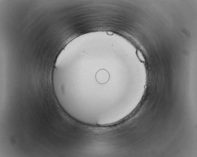 X0000116020889200912312151