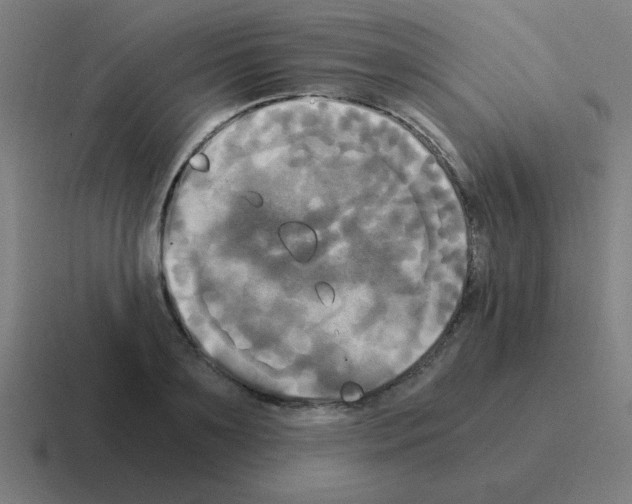 X0000116020891200912312151