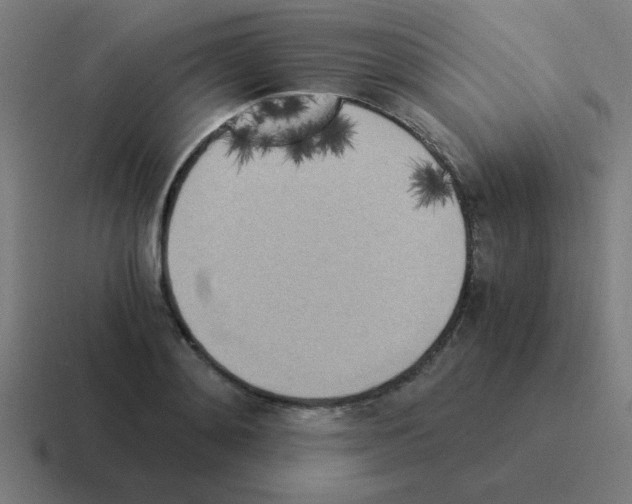 X0000116020892200912312151