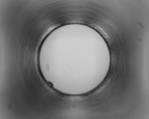 X0000116020893200912312151