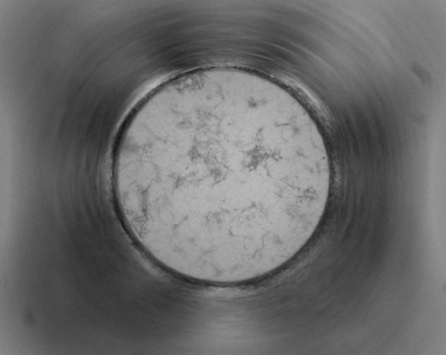 X0000116020894200912312150